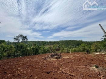 Đất Nn View Trên Cao Hẻm 327 Y Moal 42X20M Giá 3,7 Tỷ Khu Dân Cư Quỳnh Anh