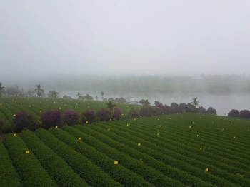 Sở hữu đất Tp Đà Lạt chỉ cơ hội duy nhất lúc này