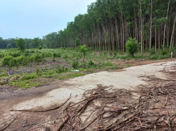 Bán đất xã Khánh Bình cắt lỗ 1 lô duy nhất chỉ 550tr cho hơn 2000m2 tại Khánh Vĩnh