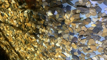 Cần Bán đất tại Chí Minh ,Chí Linh ,Hải Dương