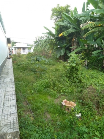 Bán 560m2 đất Củ Chi sổ hồng riêng giá rẻ