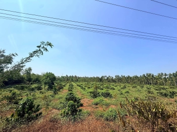 6,3 sào (75x85m) góc 2 mặt tiền đường nhựa Buôn Triết Cư Kuin 650tr/sào Quỳnh Anh