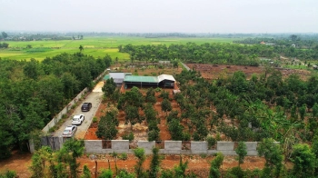 6,5 sào view ruộng mênh mông ngay chợ Đoàn Kết Hoà Khánh 3,9 tỷ Quỳnh Anh