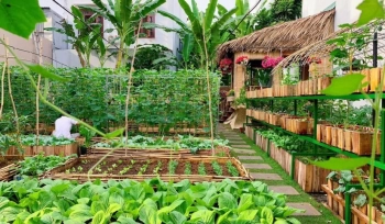 BÁN VƯỜN TRÁI CÂY MẶT TIỀN QL20 ĐANG SAI QUẢ VIEW HỒ TRỊ AN NGAY KDC HIỆN HỮU