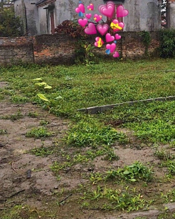 Chính chủ bán mảnh đất 87m tại đương thắng - xã ngũ đoan - kiến Thụy - hp