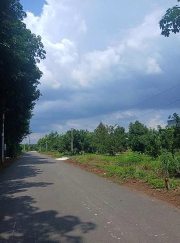 Mua đất tặng mít – 250m² mặt tiền nhựa – Sát đường DH507 – 3 phút tới chợ!