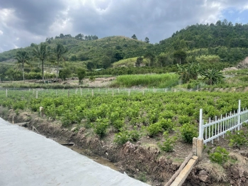 Chính chủ cần giải ngân gấp trong tháng, shr