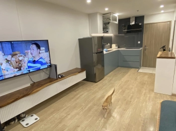 Bán nhanh căn hộ 2N+1 2vs phân khu S1 vin smartcity