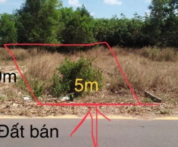 Cần bán gấp miếng đất 250m2 (5x50) tại Trừ Văn Thố - Bàu Bàng