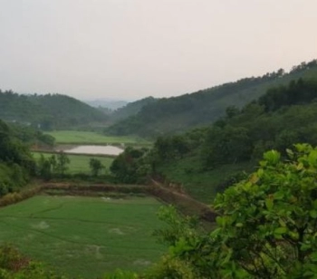 Trang trại lớn tại Lâm Đồng giá rẻ, thích hợp nghĩ dưỡng, trồng sầu riêng