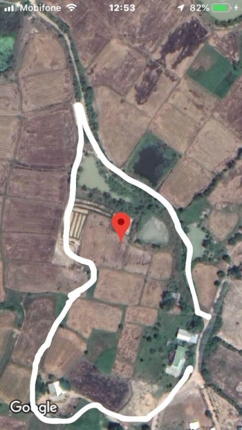 Bán nhanh lô Đất lúa xã Bắc phong huyên thuân bắc