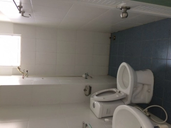 Cho thuê căn góc Phố Đông Hoa Sen 81m2