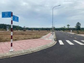 Cơ hội kinh doanh đầu tư sinh lời cao