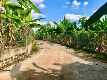 CHÍNH CHỦ CẦN BÁN GẤP – ĐẤT VƯỜN TÂM HUYẾT, GIÁ RẺ BẤT NGỜ TẠI THỐNG NHẤT, ĐỒNG NAI