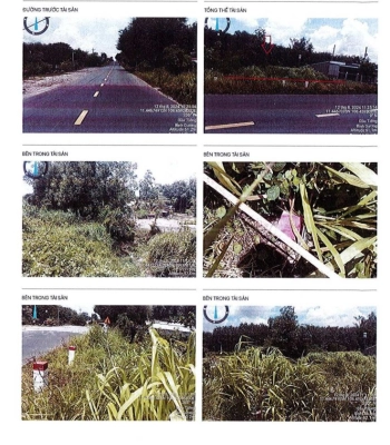 BÁN ĐẤU GIÁ BĐS TẠI XÃ MINH THẠNH, TP. HỒ CHÍ MINH