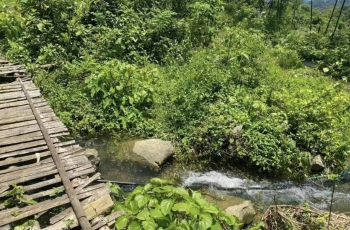 ĐẤT VƯỜN THỐNG NHẤT - CHỦ NGỘP BÁN GẤP GIÁ CỰC SỐC CHỈ 790 NGHÌN/M²