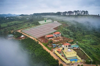 Bán đất Nam Ban, Lâm Đồng giá chỉ 450