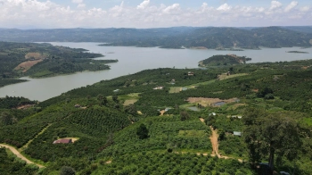 Sỉ 15 sổ hồng xã Tân Thanh DT 19250m2 view sông Đồng Nai , giá chỉ 3,2 tỷ/1hecta