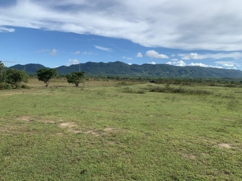 Đất sổ Hồng giá rẻ, 150m mặt tiền đường 