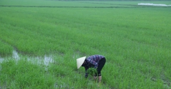 Bán 1 hecta giá 2,5 tỷ mặt tiền 60m , lên thổ cư được 6000m2 