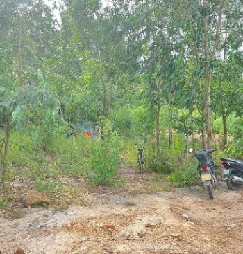 CẦN BÁN LÔ ĐẤT TẠI CHÁNH LIÊM, CÁT TƯỜNG, BÌNH ĐỊNH