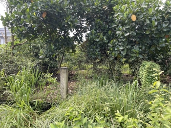 Bán đất chính chủ xuân thọ-xuân lộc-đồng nai