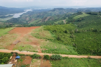 Bán 1,5 hecta đường bê tông thôn 5 nơi diễn ra dù lượn nỗi tiếng