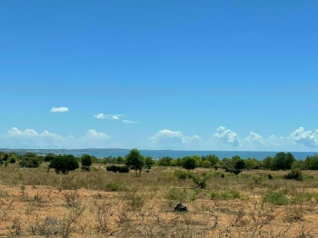 Thanh lý gấp đất sát thị trấn Phan Rí VIEW BIỂN TOÀN CẢNH 1 sào(1000m2) 280 triệu