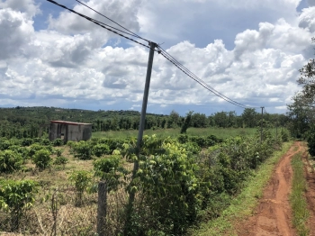 Gia đình kẹt tiền cần bán lô đất vườn xã quảng tân, khu dân cư, đất sẵn vườn, chỉ 320tr/ sào