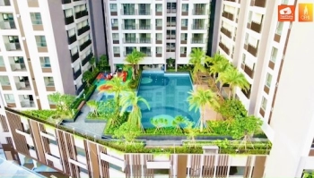 Bán căn hộ 2PN Opal Boulevard giá rẻ chỉ từ 2,5 tỷ/căn