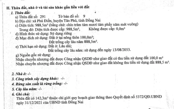 THÔNG BÁO BÁN ĐẤU GIÁ TÀI SẢN NGÂN HÀNG VIB_PHÚ ĐIỀN_L3