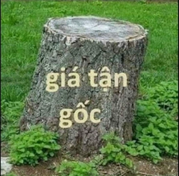 Thanh Lý 04 Lô Đất KDC Thành Xương Giang - TP Bắc Giang