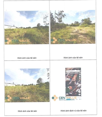 BÁN ĐẤU GIÁ BẤT ĐỘNG SẢN TẠI PHƯỜNG PHÚ AN, TP. HỒ CHÍ MINH.