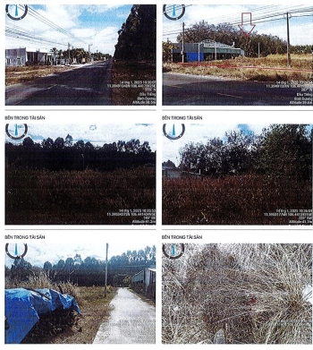 BÁN ĐẤU GIÁ BẤT ĐỘNG SẢN TẠI BÌNH DƯƠNG (NAY LÀ TP.HCM.)