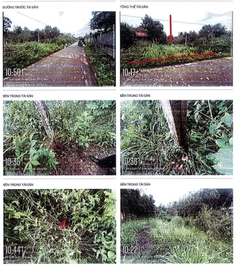 BÁN ĐẤU GIÁ BẤT ĐỘNG SẢN TẠI XÃ ĐỊNH QUÁN, TỈNH ĐỒNG NAI