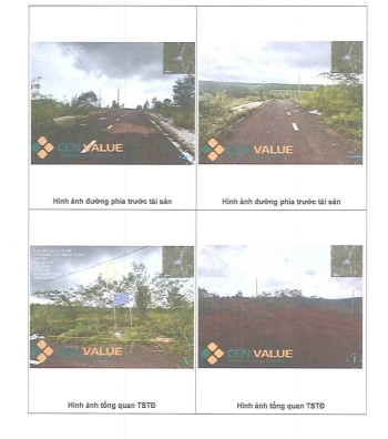 BÁN ĐẤU GIÁ BẤT ĐỘNG SẢN TẠI XÃ BẢO LÂM 1, TỈNH LÂM ĐỒNG,