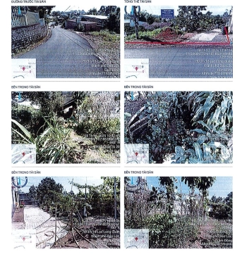 BÁN ĐẤU GIÁ BĐS TẠI PHƯỜNG B'LAO, TỈNH LÂM ĐỒNG