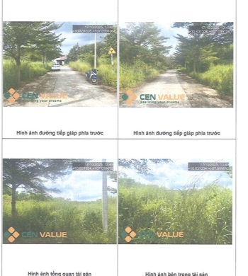 BÁN ĐẤU GIÁ BẤT ĐỘNG SẢN Ở TẠI TÂN THÀNH, HỒ CHÍ MINH
