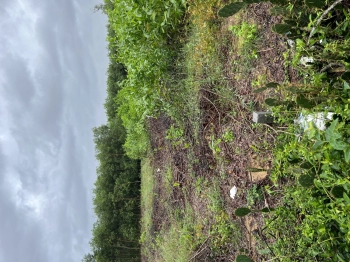 BHK Phổ An Gần đường Quốc Phòng