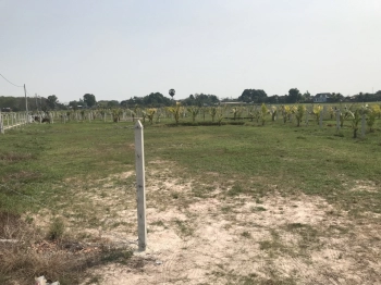 Làm ăn thua lỗ cần ra đi đất vườn 1000m2 đường Tỉnh Lộ 7 Củ Chi (1tỷ3)