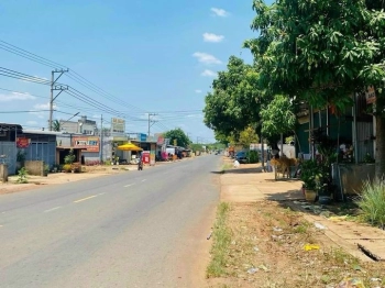 CHÍNH CHỦ SANG GẤP 5X62m=311,8m2, MT NHỰA 1 SẸT QL14 ĐÚNG 200M, NGAY CHỢ, TR.HỌC GIÁ 650TR