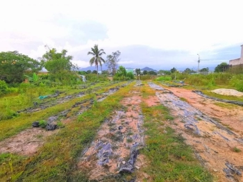 Bán đất Trần Hưng Đạo, MT 6m, Ô tô, Lô góc, Kinh doanh chỉ 3 tỷ 7 Lý Uy Tín