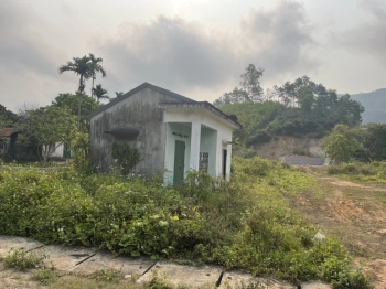  Bán đất nền khu kinh tế Vân Đồn 2033m2 xã Đoàn Kết