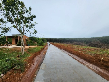 Bắt đáy đất gần cao tốc tại Đắk Nông ngay