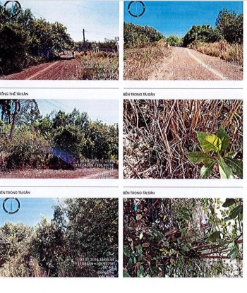 BÁN ĐẤU GIÁ BẤT ĐỘNG SẢN TẠI XÃ THUẬN LỢI, TỈNH ĐỒNG NAI