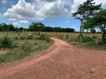 Gia đình cần bán lại vài lô đất view biển gần Bàu Trắng, chỉ với 185 nghìn/m2