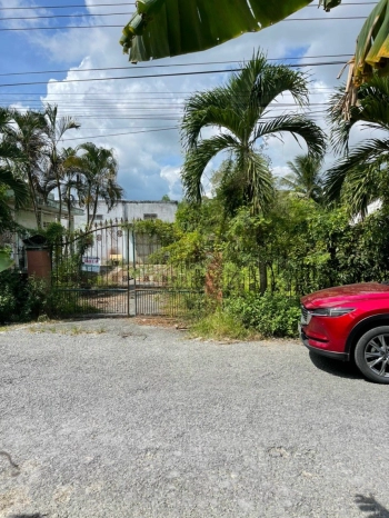 Chính Chủ Bán Đất 24608m2 Mặt Tiền gần QL1A, đường Bầu Gốc đi Phú Lộc