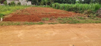 Bán lô đất đẹp Xóm Đong, Xã Nghĩa Tiến, Thị xã Thái Hòa