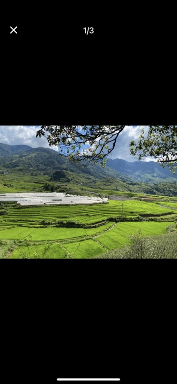 Đất Tả Phìn sapa view triệu đô