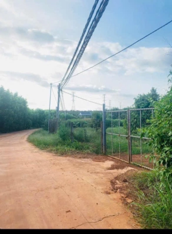 Em cần bán nhanh sát kcn diện tích hơn 1h6 giá chỉ 240tr/1 sào